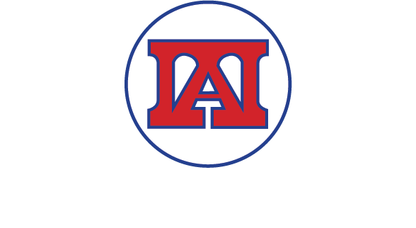 Ikatan Akuntan Indonesia